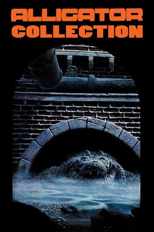 Alligator Collection koleksiyon afişi