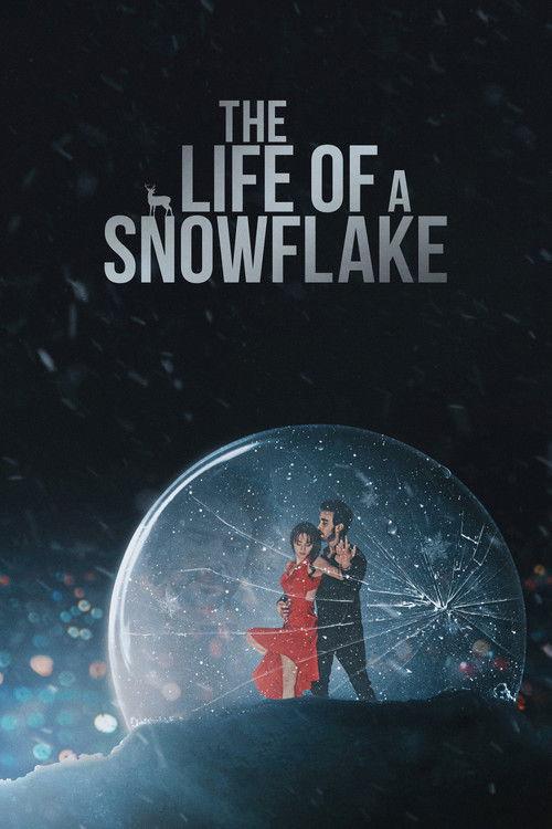 The Life of a Snowflake film afişi