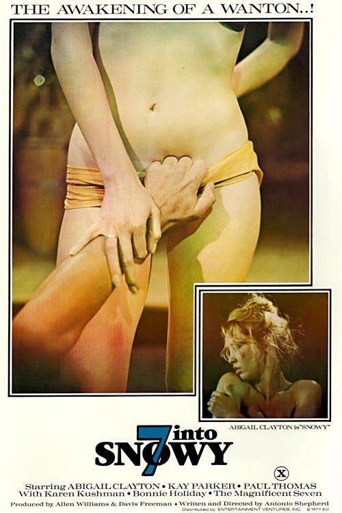 7 Into Snowy film afişi