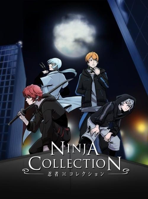 Ninja Collection dizi afişi