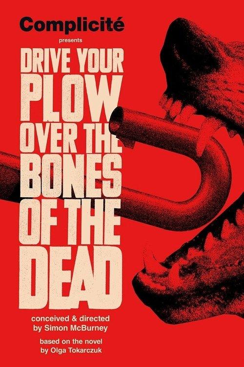 Drive Your Plow Over the Bones of the Dead film afişi