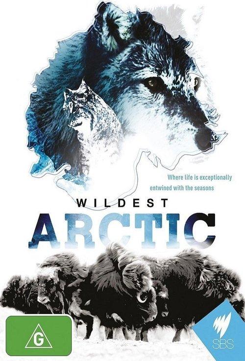 Wildest Arctic dizi afişi