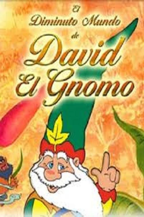 The Tiny Little World of David The Gnome film afişi