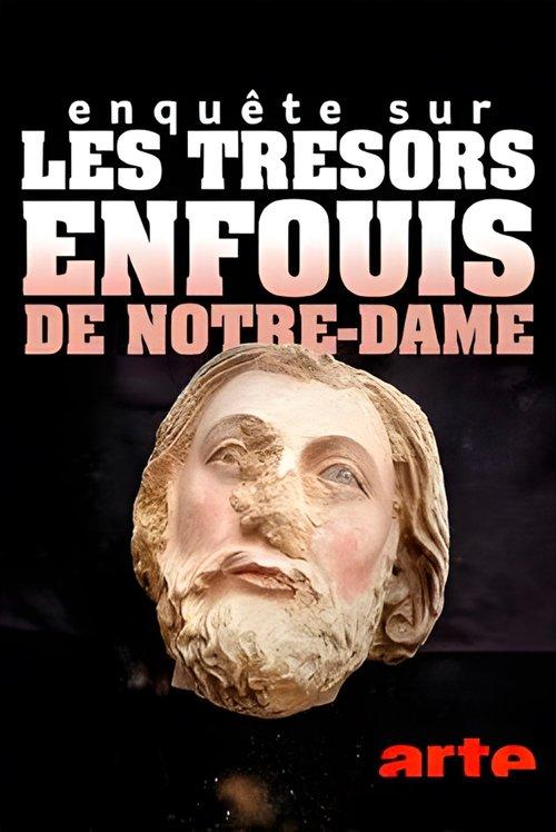 Enquête sur les trésors enfouis de Notre-Dame de Paris film afişi