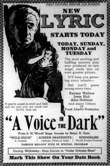 A Voice in the Dark film afişi
