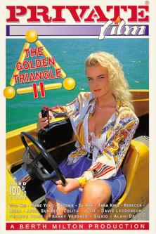 The Golden Triangle 2 film afişi