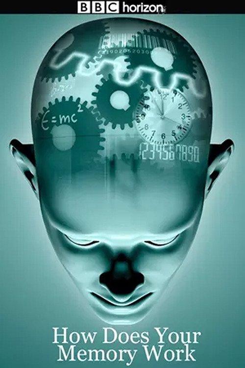 How Does Your Memory Work film afişi