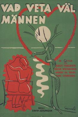 Vad veta väl männen? film afişi