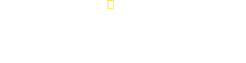 Sharks Up Close with Bertie Gregory logo