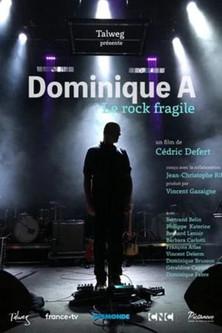 Dominique A, le rock fragile film afişi