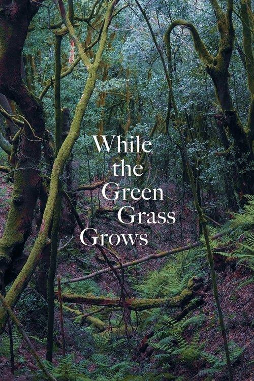 While the Green Grass Grows film afişi