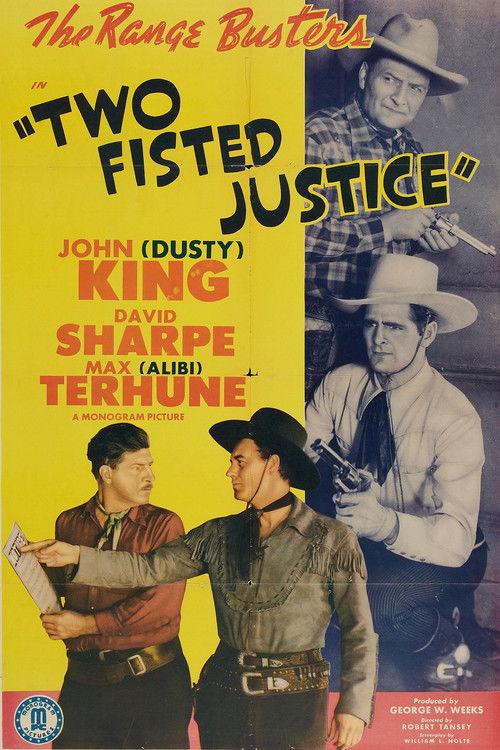 Two Fisted Justice film afişi