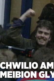 Bryn Fon: Search for the Sons of Glyndwr film afişi