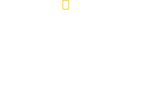 Lost Tombs of the Pyramids logo