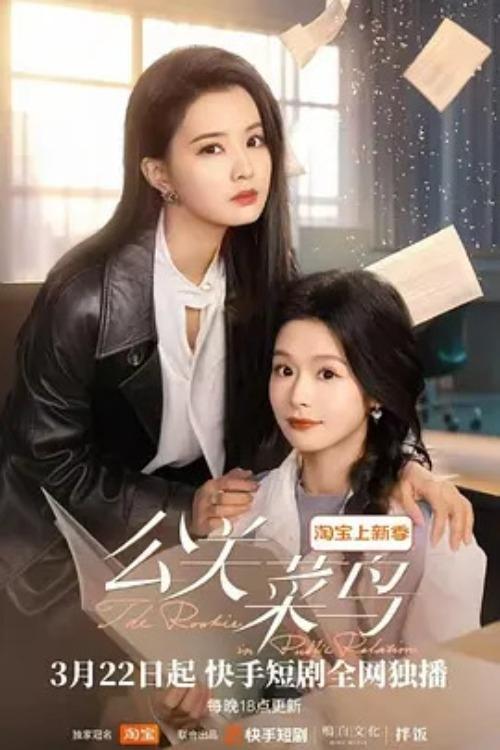 The Rookie in Public Relation dizi afişi