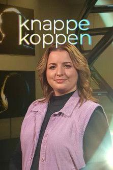 Knappe koppen dizi afişi