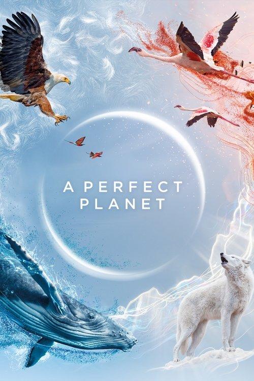 A Perfect Planet dizi afişi