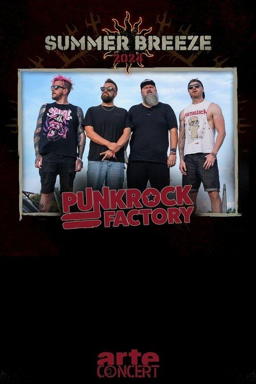 Punk Rock Factory - Summer Breeze 2024 film afişi
