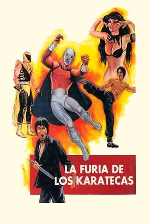 The Fury of the Karate Experts film afişi