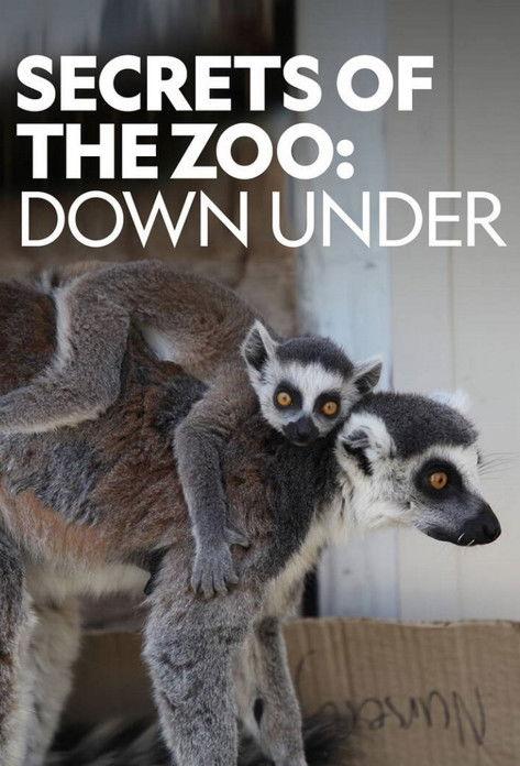 Secrets of the Zoo: Down Under Sezon 3