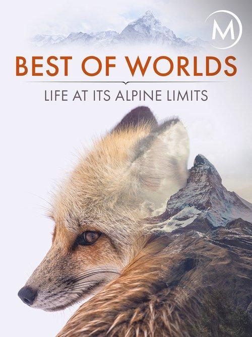 Best of Worlds: Life at its Alpine Limits film afişi