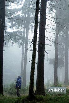 Dreileben koleksiyon afişi