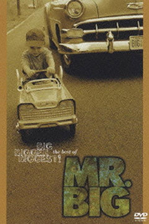 Big, Bigger, Biggest! The Best Of Mr. Big film afişi