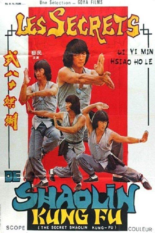 The Secret Shaolin Kung-Fu film afişi