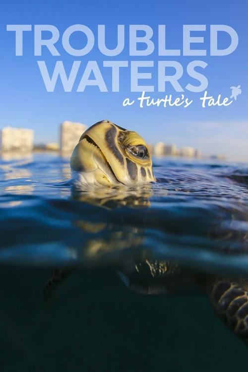 Troubled Waters: A Turtle's Tale film afişi