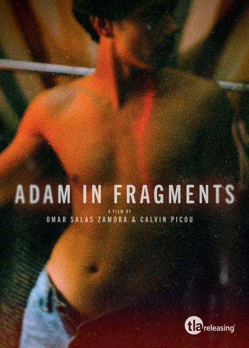 Adam in Fragments Sezon 1