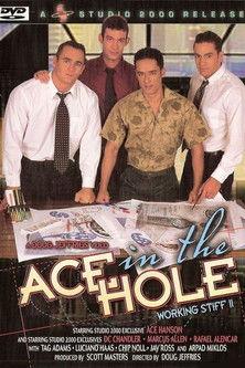 Ace in the Hole: Working Stiff 2 film afişi