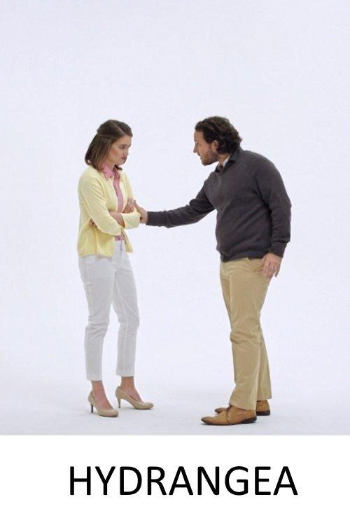 Hydrangea film afişi