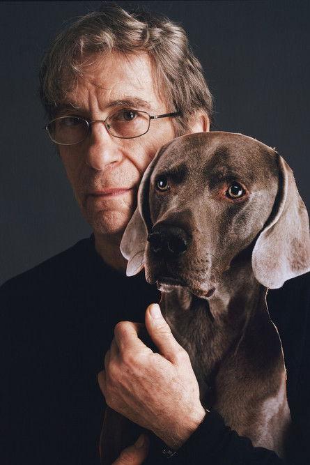William Wegman fotoğrafı