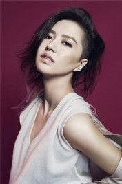 Sitar Tan fotoğrafı