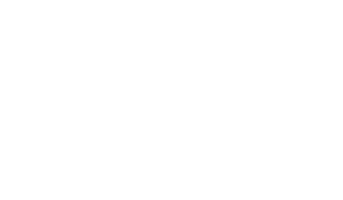Mighty Raju logo