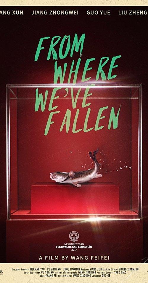 From Where We've Fallen film afişi