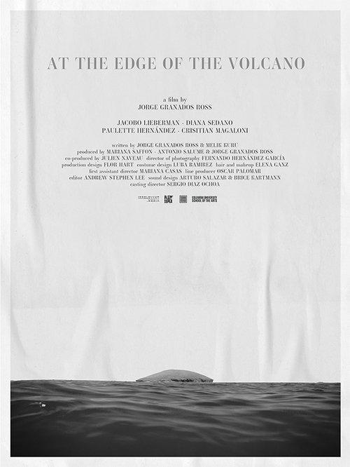 At the Edge of the Volcano film afişi