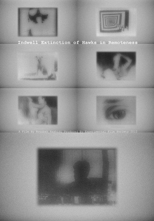 Indwell Extinction of Hawks in Remoteness film afişi