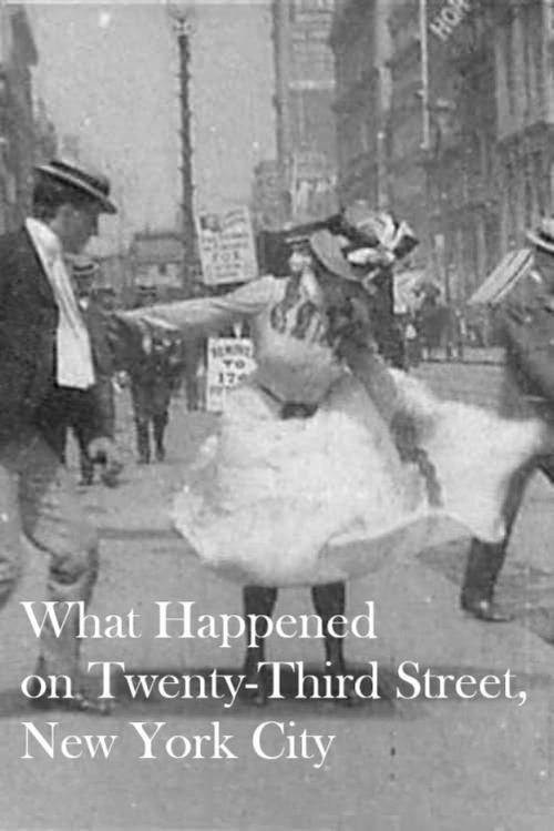 What Happened on Twenty-Third Street, New York City film afişi