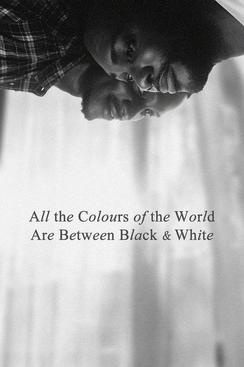 All the Colours of the World Are Between Black and White film afişi