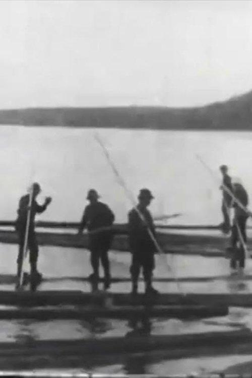 Logging in Maine film afişi