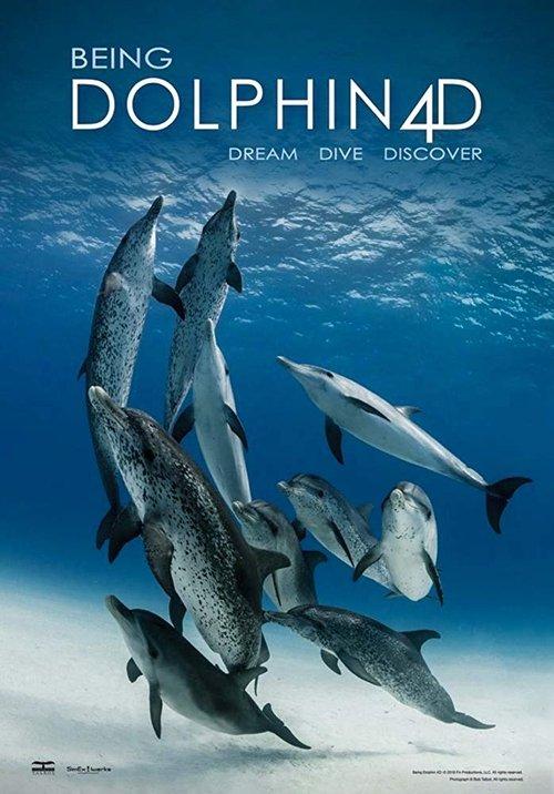 Being Dolphin 4D film afişi