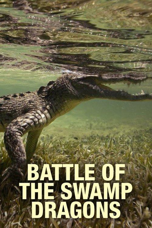 Battle of the Swamp Dragons film afişi