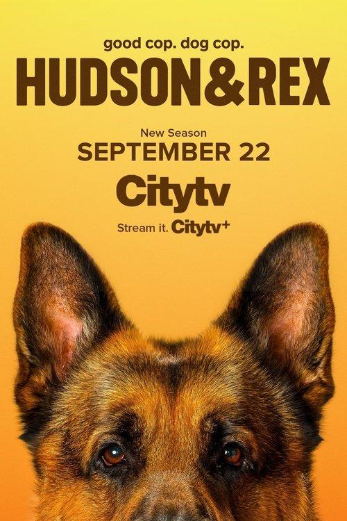 Hudson & Rex Sezon 8
