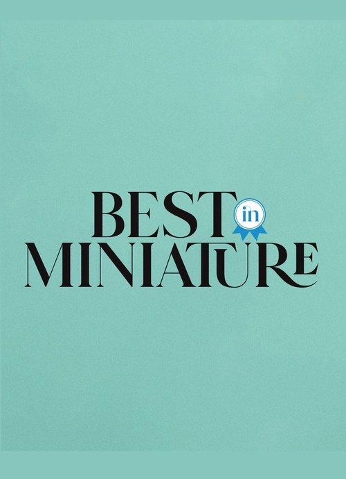 Best In Miniature dizi afişi