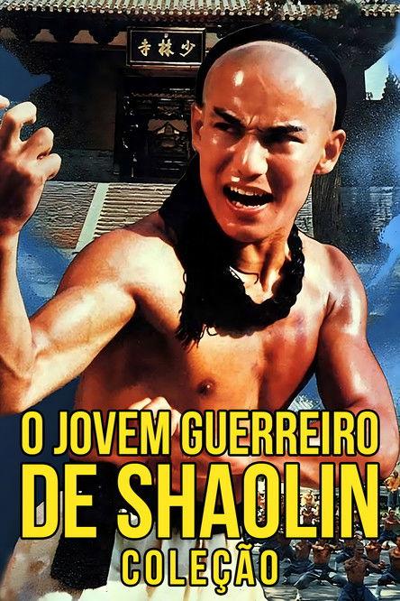 The Young Hero of Shaolin Collection koleksiyon afişi