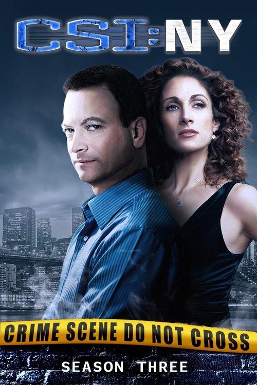 CSI: NY Sezon 3