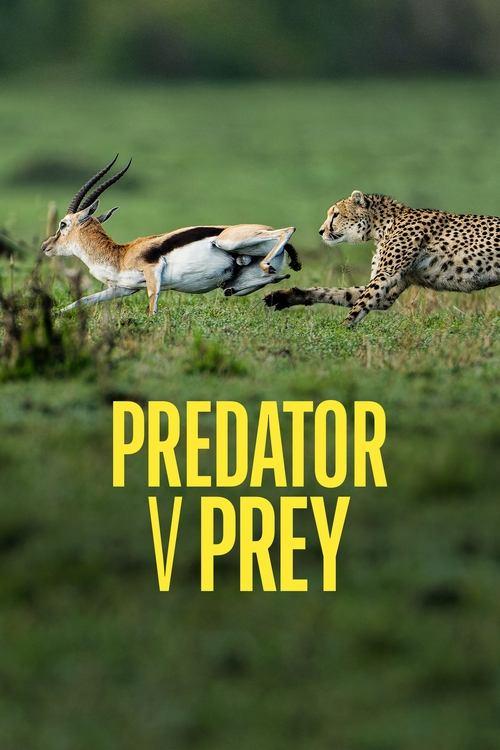 Predator v Prey dizi afişi