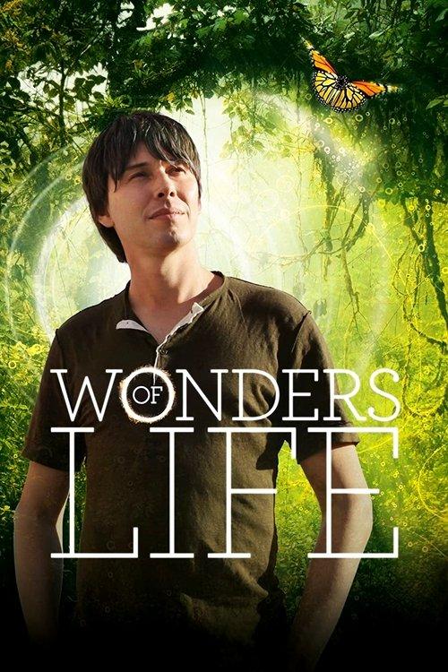 Wonders of Life dizi afişi