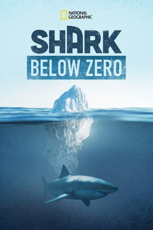 Shark Below Zero film afişi